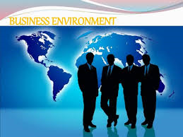 Business Environment