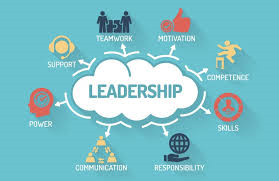 CMI 702 – Leading and Developing People to Optimize Performance