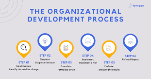 CMI 704 – Developing Organizational Strategy