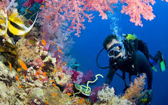 Sharm El‑Sheikh