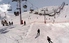 Faraya
